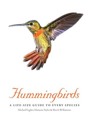 Hummingbirds: A Life-Size Guide to Every Species (Hardback)