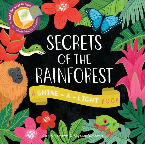 Shine a Light: Secrets of the Rainforest: A shine-a-light book - Shine-A-Light (Paperback)
