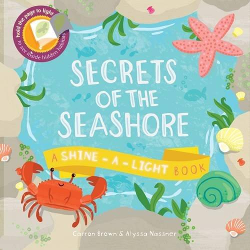 Secrets of the Seashore: A Shine-a-Light Book (Paperback)