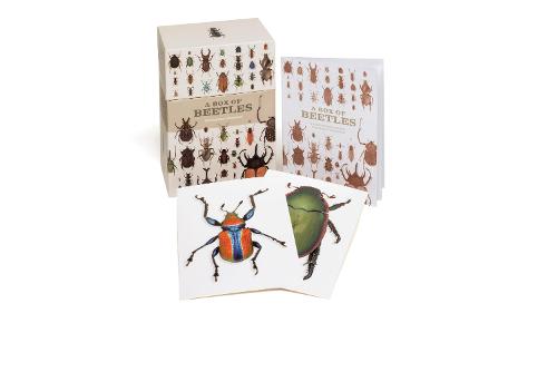 A Box of Beetles: 100 Beautiful Postcards