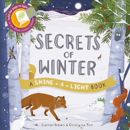 Shine a Light: Secrets of Winter: A shine-a-light book - Shine-A-Light (Paperback)