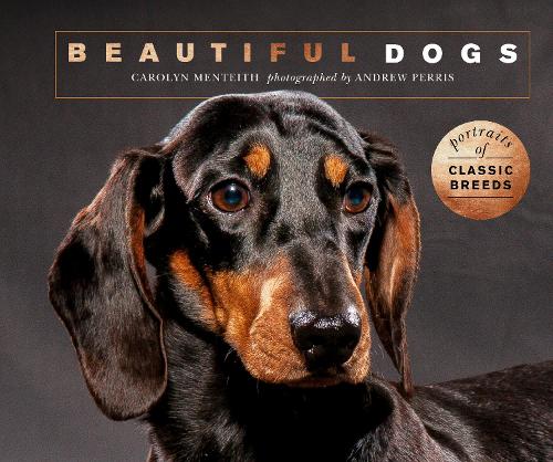 Beautiful Dogs: Portraits of champion breeds - Beautiful Animals (Paperback)