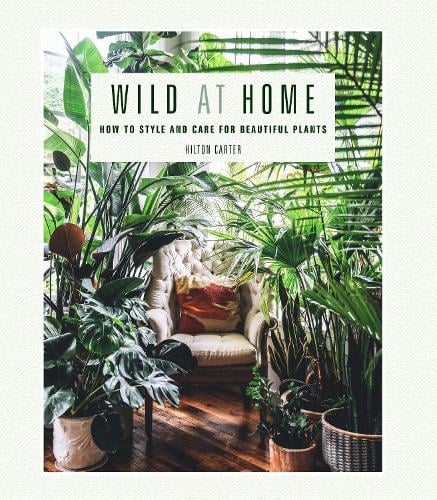 Cover of Wild at Home: How to Style and Care For Beautiful Plants