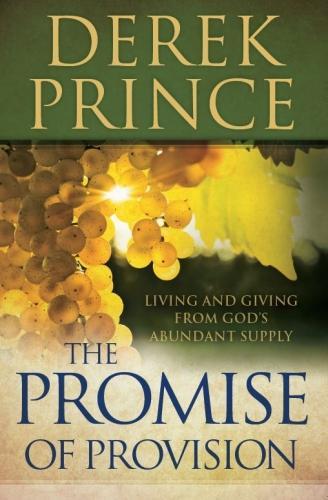 The Promise of Provision (Paperback)