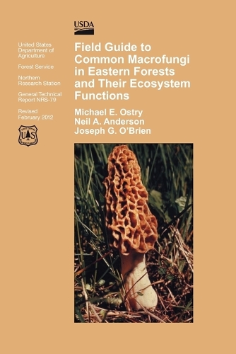 Field Guide to Common Macrofungi in Eastern Forests and Their Ecosystem Function (Paperback)