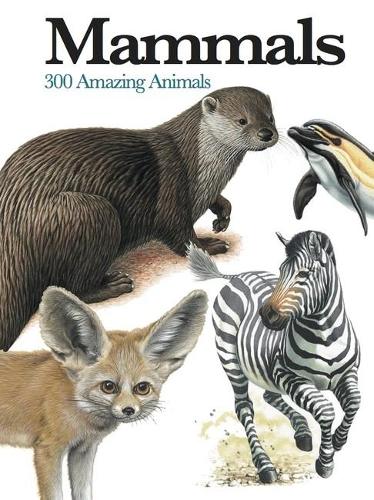 ME: Mammals: 300 Amazing Animals - Mini Encyclopedia (Paperback)