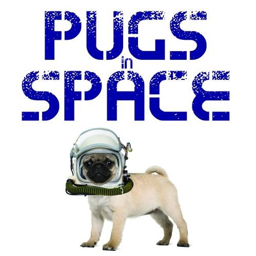 Pugs in Space (Hardback)
