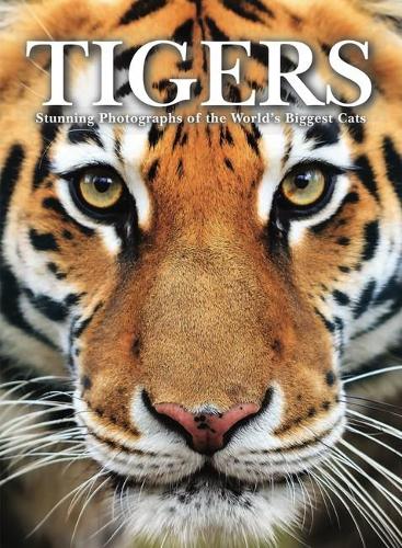 Tigers: Stunning Photographs of the World's Biggest Cats - Animals (Hardback)