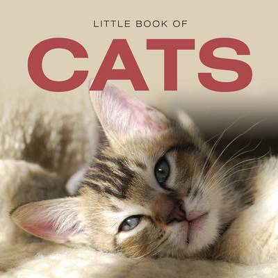 Little Book of Cats (Hardback)