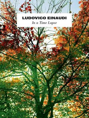 In a Time Lapse (Book)