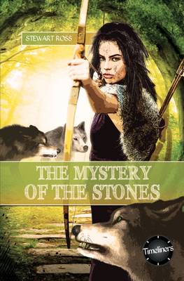 The Mystery of the Stones - Timeliners (Paperback)