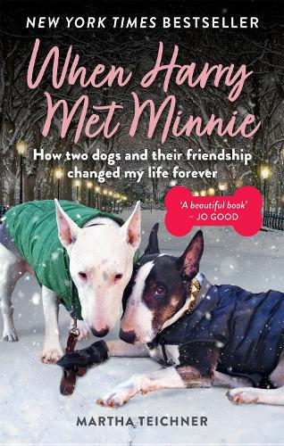 When Harry Met Minnie: An unexpected friendship and the gift of love beyond loss (Paperback)