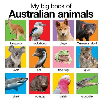 My Big Book of Australian Animals: My Big Books - My Big Books (Board book)