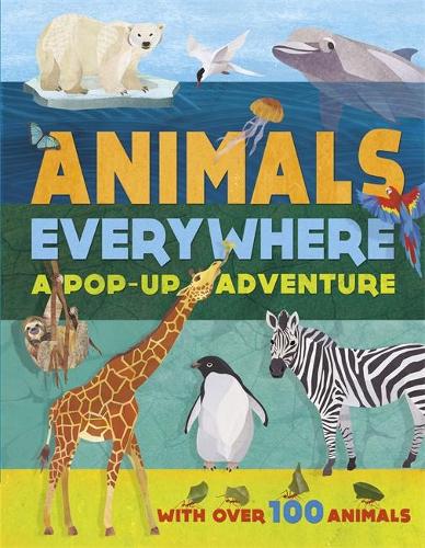 Animals Everywhere (Hardback)