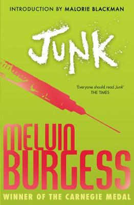 Junk (Paperback)