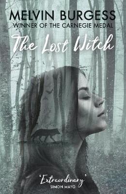 The Lost Witch (Paperback)