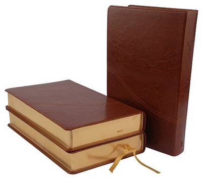 The Holy Bible in Persian New Millennium Version (Leather / fine binding)