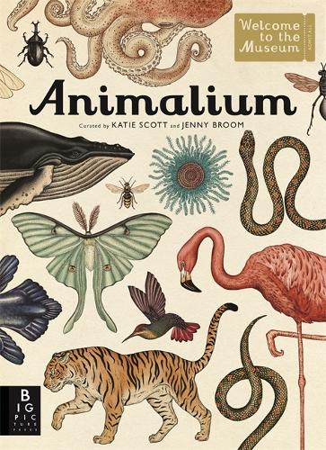 Animalium - Welcome To The Museum (Hardback)
