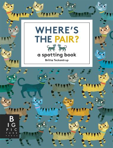 Where's the Pair?: A Spotting Book - Big Picture Press (Hardback)