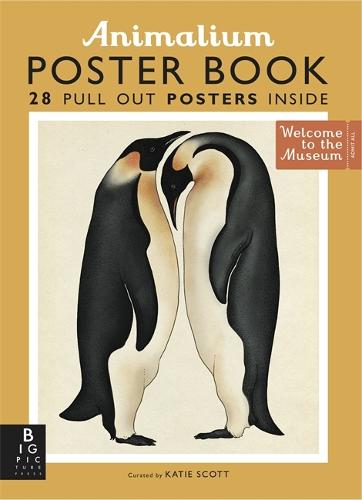 Animalium Poster Book - Welcome To The Museum (Paperback)