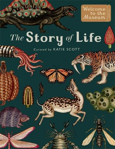 Cover The Story of Life: Evolution  - Welcome To The Museum (Hardback)