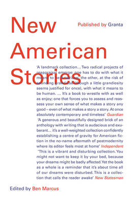 New American Stories (Paperback)