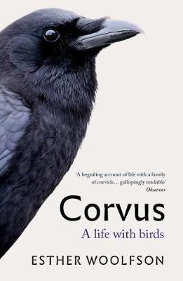 Corvus: A Life With Birds (Paperback)