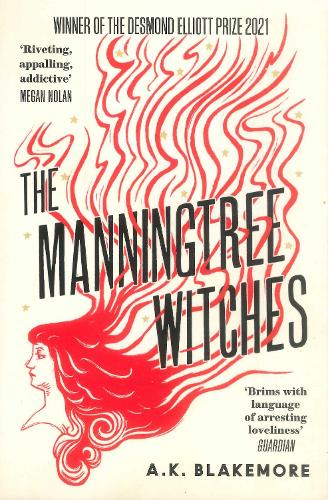 Cover of the book The Manningtree Witches