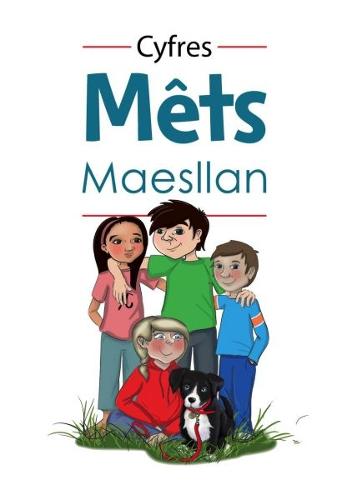 Mets Maesllan (Paperback)