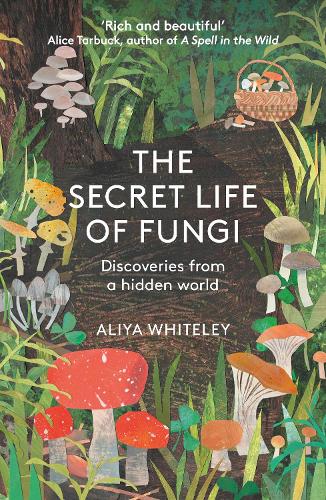 The Secret Life of Fungi: Discoveries from a Hidden World (Paperback)