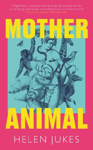 Mother Animal: Helen Jukes in Conversation with Lucy Jones