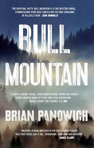 Bull Mountain (Hardback)