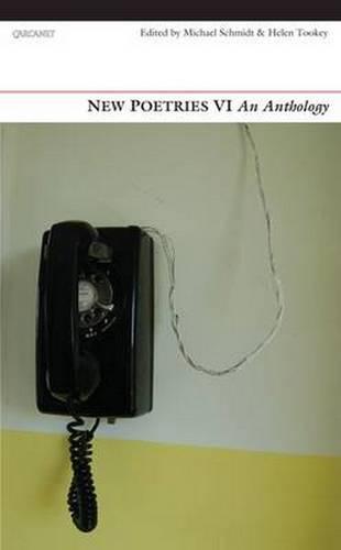 New Poetries VI (Paperback)
