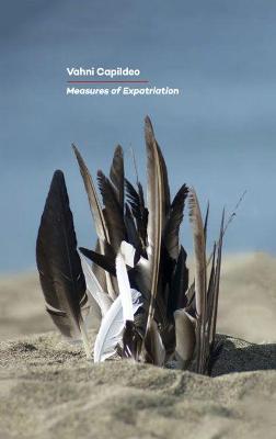 Measures of Expatriation (Paperback)