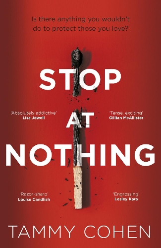 Stop At Nothing (Paperback)