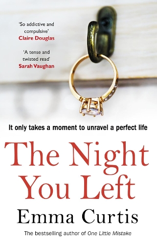 The Night You Left (Paperback)