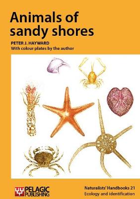 Animals of sandy shores - Naturalists' Handbooks Vol. 21 (Hardback)