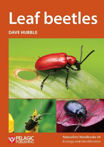 Cover Leaf beetles - Naturalists' Handbooks Vol. 34
