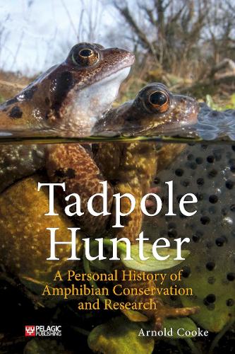 Tadpole Hunter: A Personal History of Amphibian Conservation and Research (Paperback)