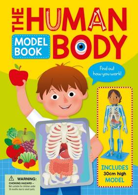 Human Body Model Book (Hardback)