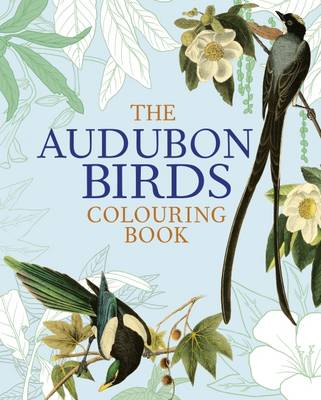 The Audubon Birds Colouring Book (Paperback)