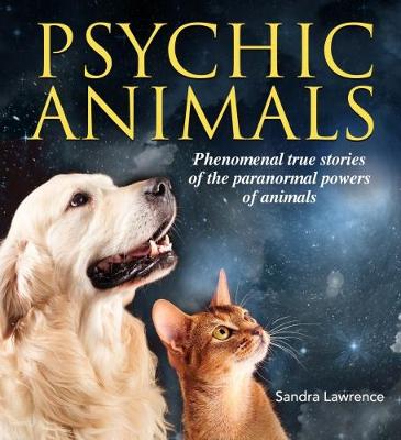 Psychic Animals (Paperback)