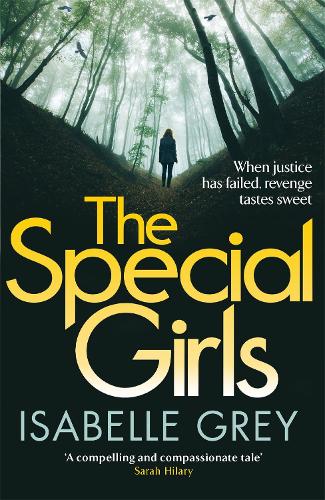 The Special Girls: an addictive and heart-stopping crime thriller with a shocking twist - DI Grace Fisher (Paperback)