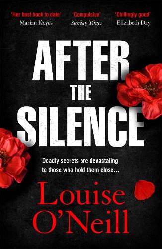 After the Silence (Paperback)