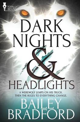Dark Nights and Headlights (Paperback)