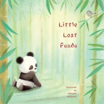 Little Lost Panda - Picture Storybooks (Paperback)