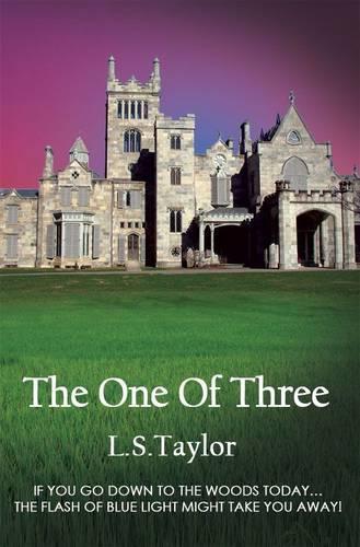 The One of Three (Paperback)