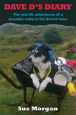 Dave D's Diary (Paperback)
