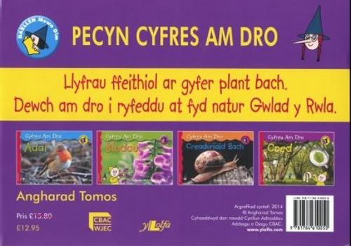 Cyfres Darllen Mewn Dim: Cam Rwdlan (Pecyn) (Paperback)
