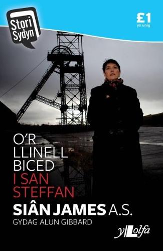 Stori Sydyn: O'r Llinell Biced i San Steffan (Paperback)